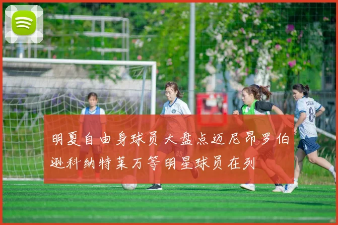 明夏自由身球员大盘点迈尼昂罗伯逊科纳特莱万等明星球员在列