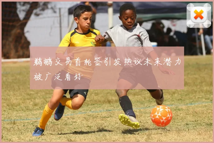 鹈鹕交易首轮签引发热议未来潜力被广泛看好