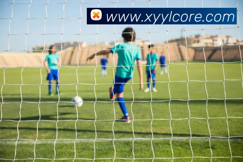 杏耀娱乐平台生态图